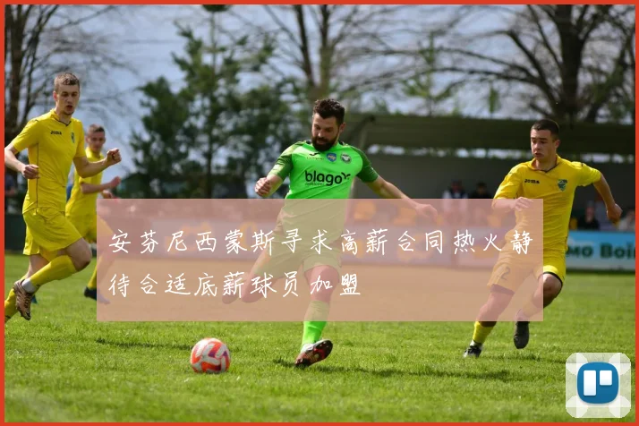 安芬尼西蒙斯寻求高薪合同热火静待合适底薪球员加盟